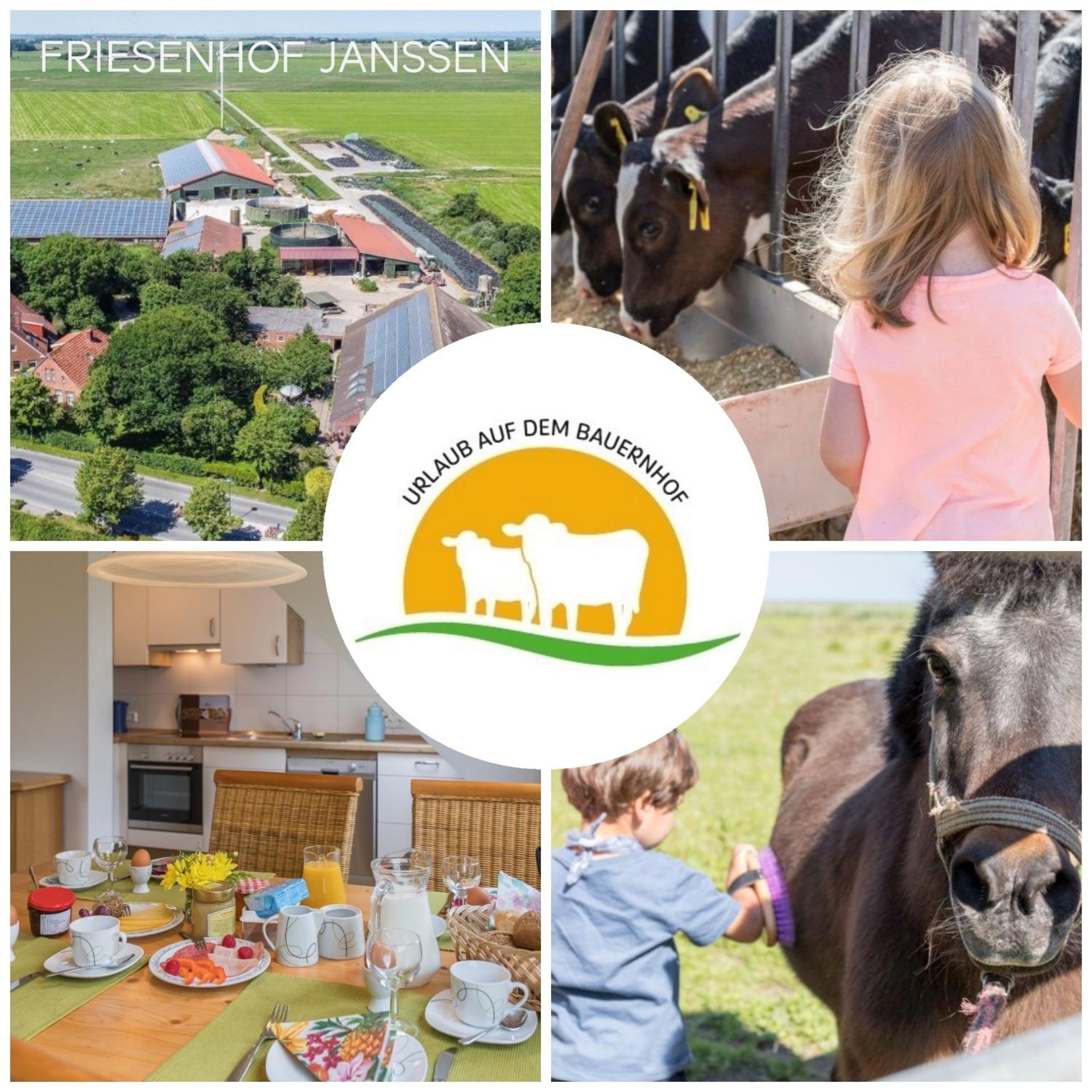 דירות נויהרלינגרזיל Friesenhof Janssen - Urlaub Auf Dem Bauernhof מראה חיצוני תמונה